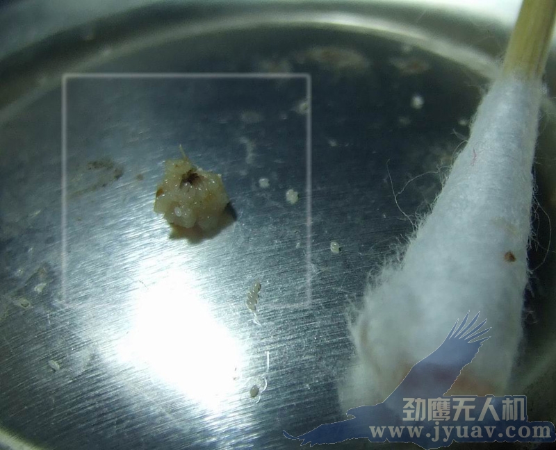 &#21326;&#20159;&#24179;&#21488;&#45;&#21326;&#20159;&#65288;&#20013;&#22269;&#65289;&#19968;&#31449;&#24335;&#26381;&#21153;&#24179;&#21488;
